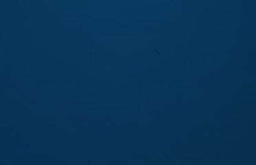 شركة GATE لإستيراد مواد البناء .. MAPEI