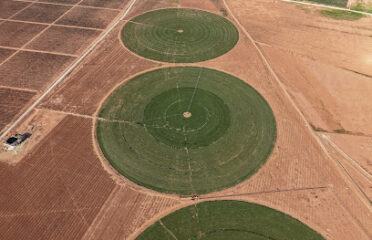 غرغار للاستثمار الزراعي – Ghargrow Agro-Industries