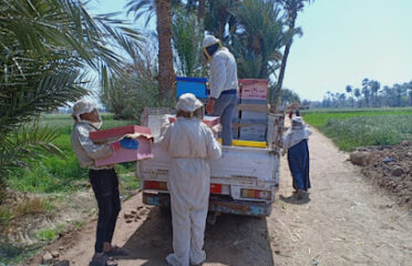 مناحل الباقوري